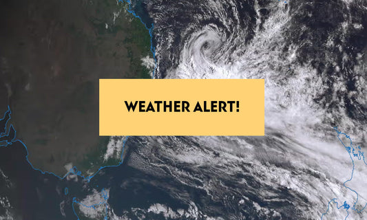 Cyclone Alfred - Please Expect Delays